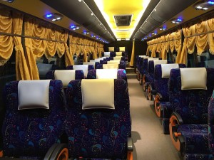 Alisan-Golden-Coach-Inside